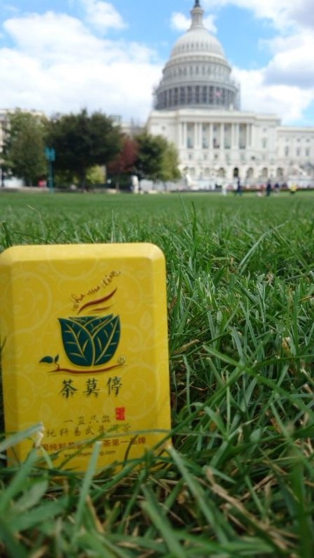 小黄盒的华盛顿之旅......