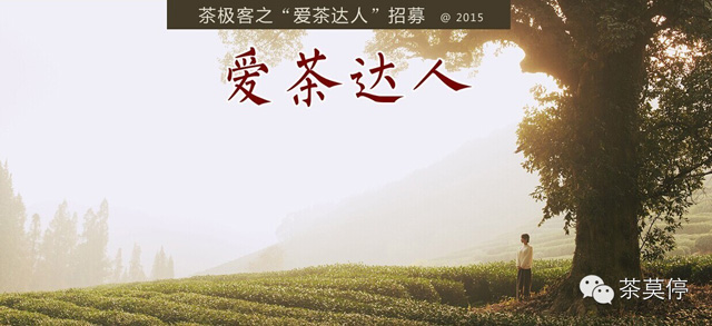 爱茶达人