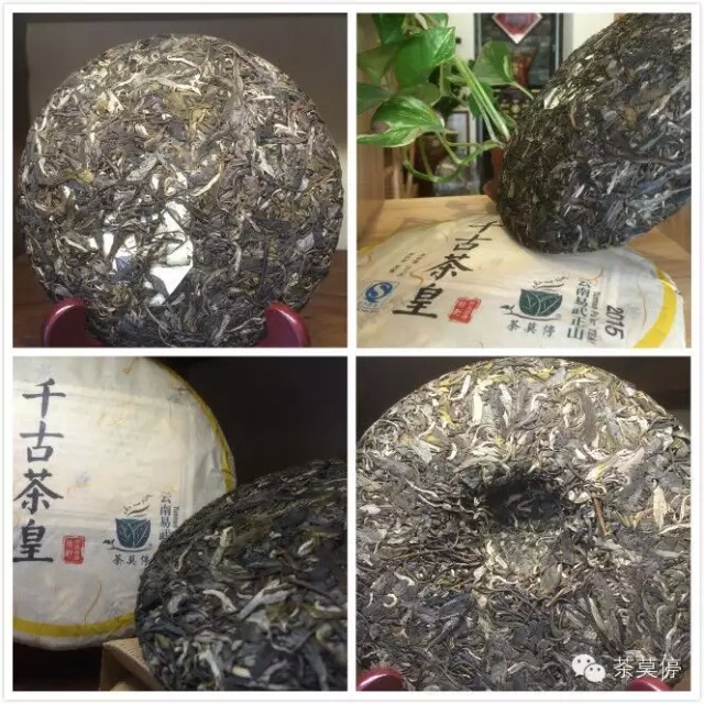 新品上市【千古茶皇】