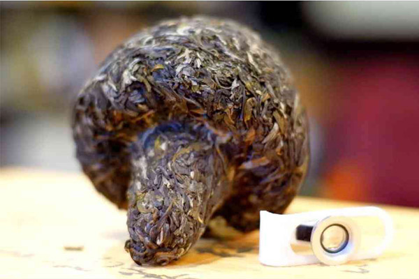 中年 饮茶