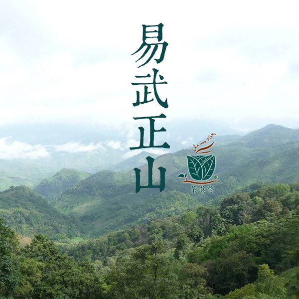 易武正山