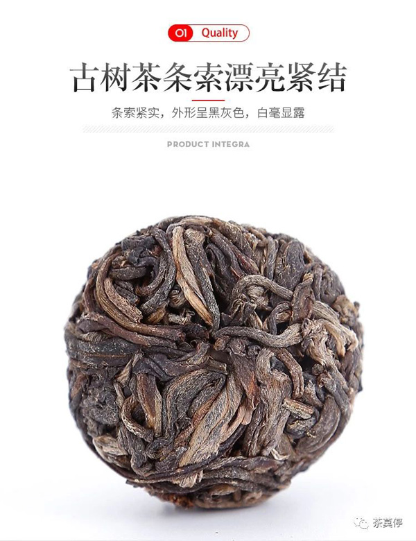 小莫系列：莫小砖