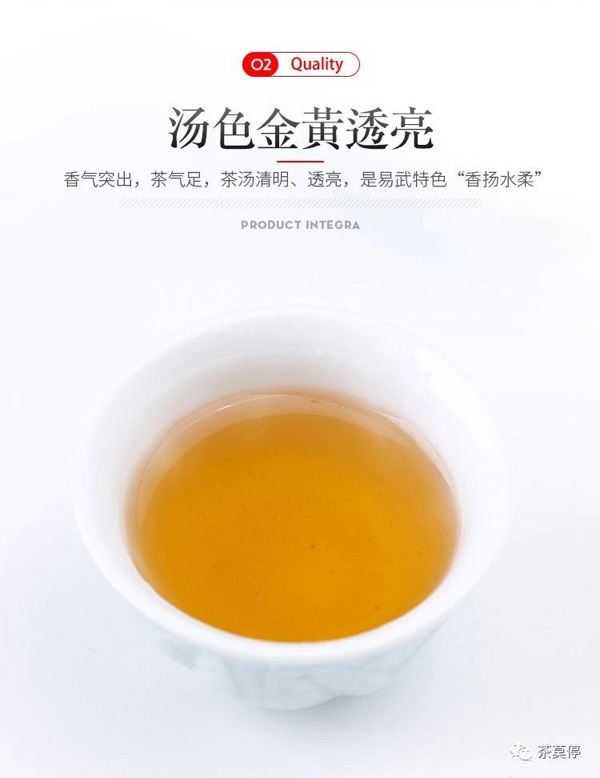 小莫系列：莫小砖