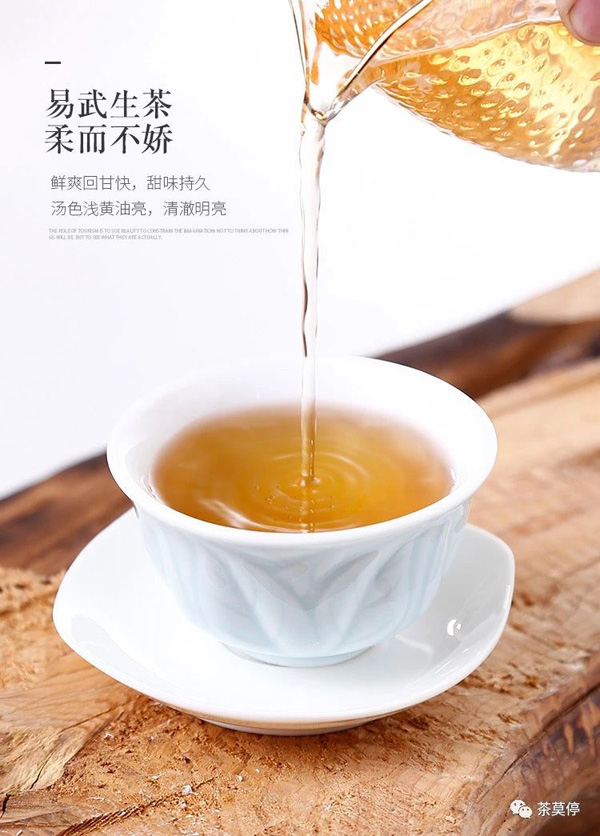 千古茶皇